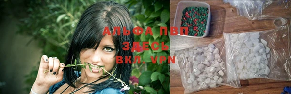 Альфа ПВП Волоколамск