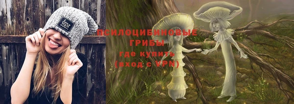 гашик Волосово